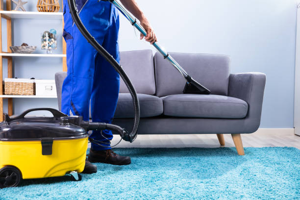 Mangrove Groups Sofa cleaning Services Deep Cleaning Dubai UAE