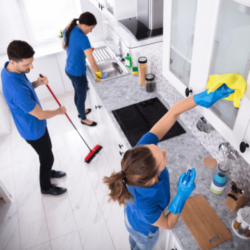 Mangrove Groups Deep Kitchen Cleaning Services in Dubai UAE