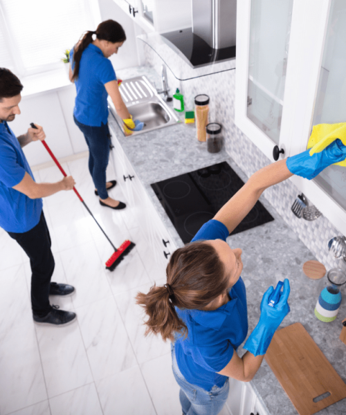 Kitchen Cleaning - Mangrove Groups