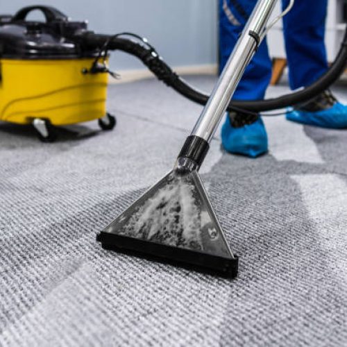 Mangrove Groups Deep Cleaning Dubai UAE Carpet Cleaning