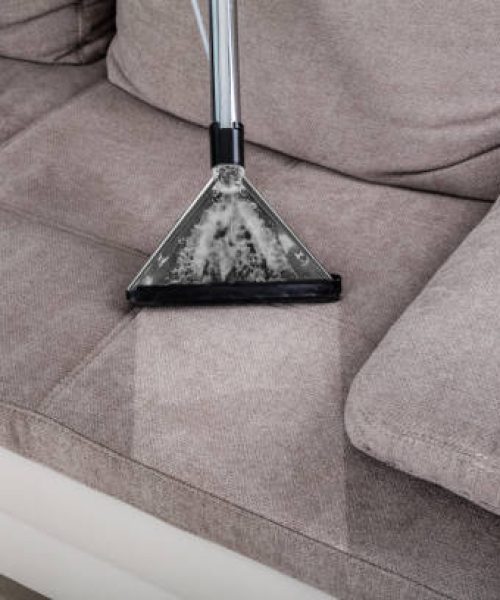 Mangrove Groups Sofa cleaning Services Deep Cleaning Dubai UAE
